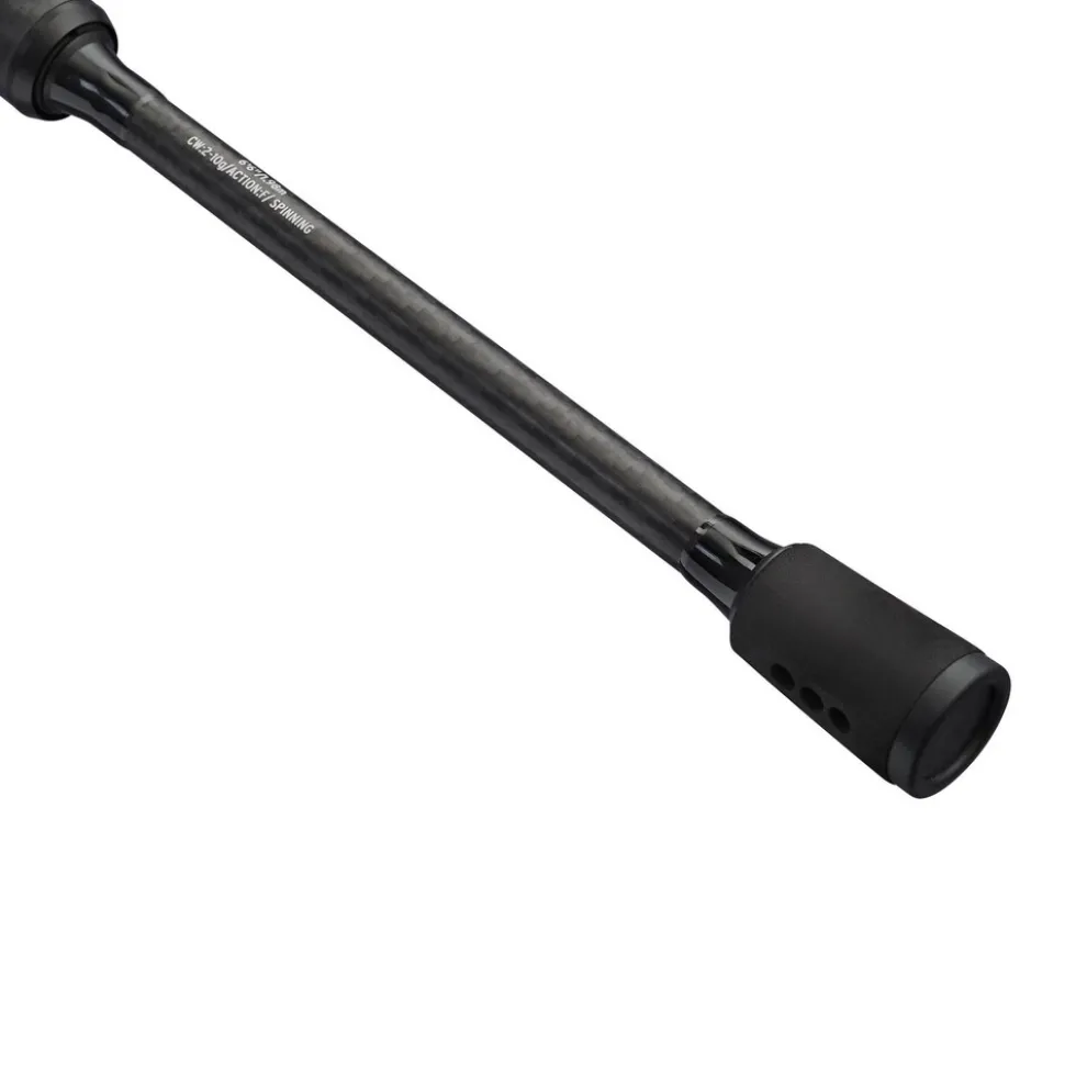 Abu Garcia Veritas LTD Chub 1002L 3,05m 3-15g Spinnrute
