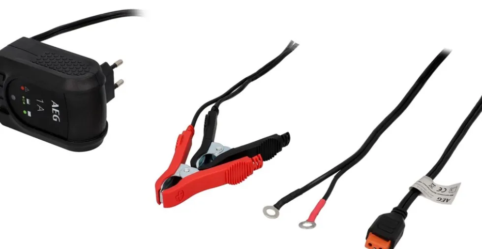 AEG Batteriepulser MB 1.0