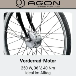 Agon Assist E Bike 28 Zoll Pedelec Damen Elektro Fahrrad 3 Gang Citybike tiefer Einstieg