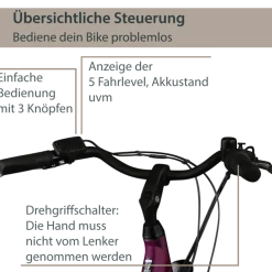 Agon Axis E-Bike 26 Zoll Citybike Damen Herren 140 - 165 cm Pedelec mit Nabenmotor Fahrrad 3 Gang und Beleuchtung StVZO