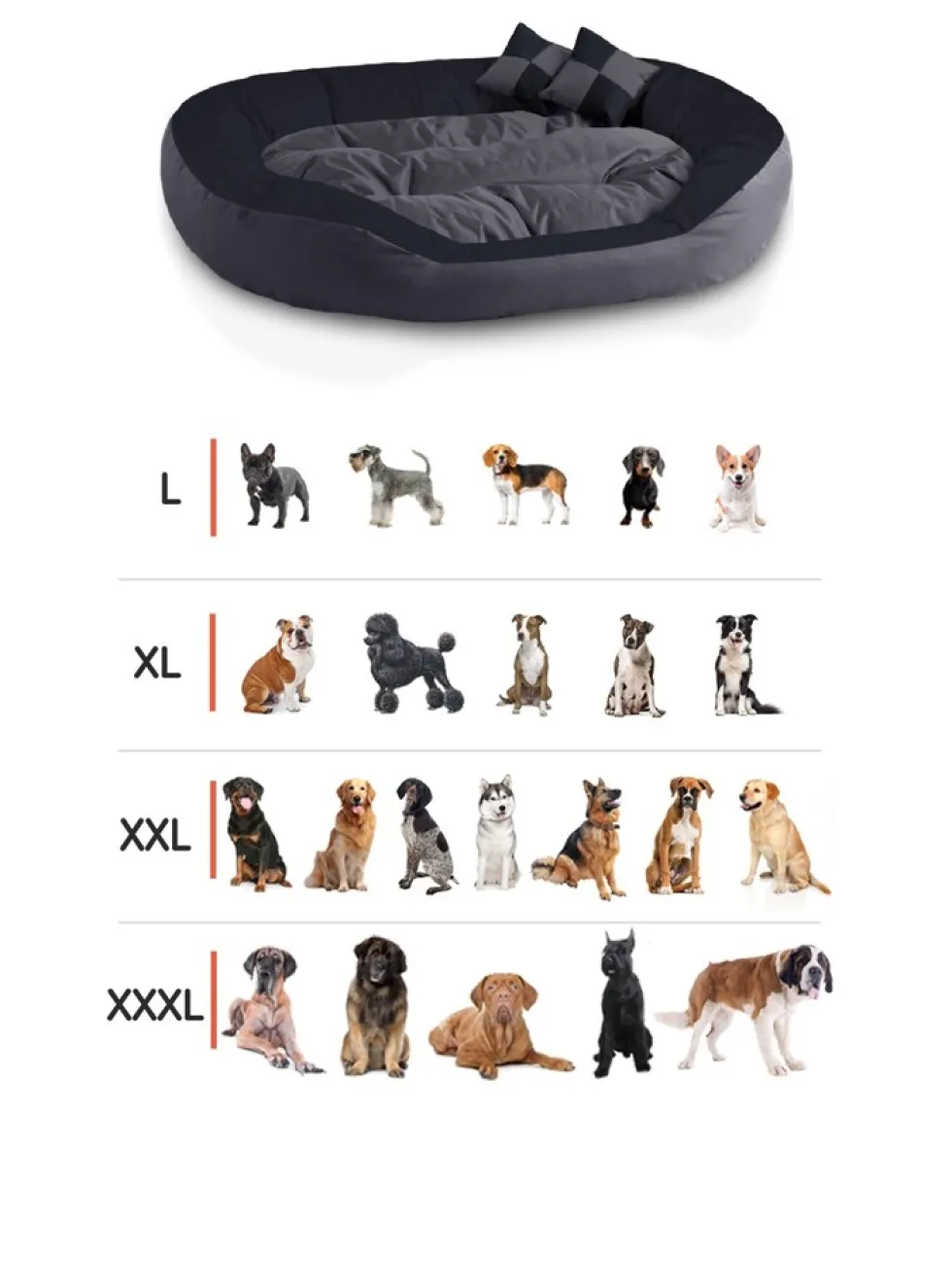BedDog 4in1 Hundebett SABA großes Hundekörbchen abwischbar Hundekissen