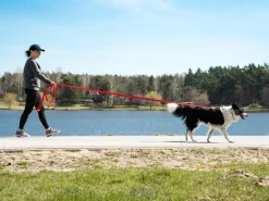 BedDog TYSON Trainingsleine mit Aufbewahrungsbeutel und Handschlaufe