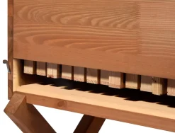 Bienenkiste für Honig-Bienen zum Imkern - versch. Ausführungen