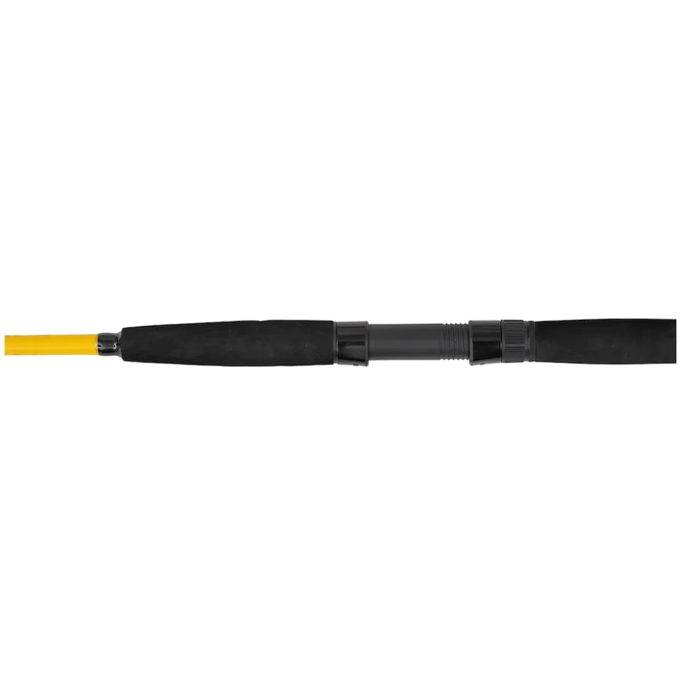 Black Cat Black Passion G2 Vertical 1,80m 240g Wels-Vertikalrute
