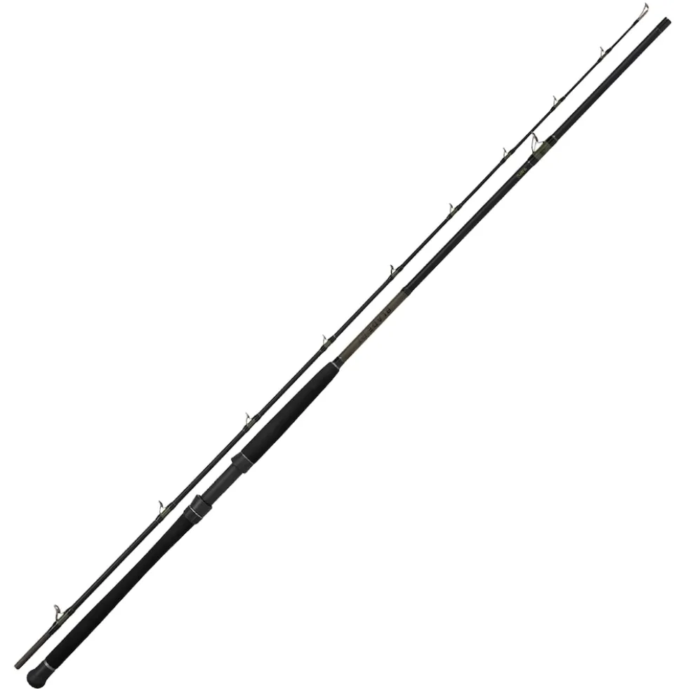 Black Cat Blade 2,65m 30Lbs Wels-Allroundrute