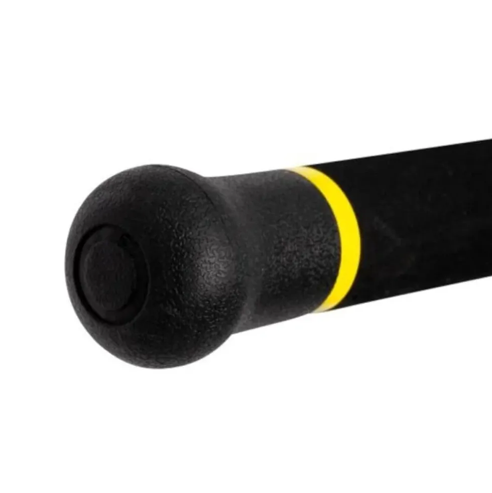 Black Cat Freestyle Pro Bank 2,80m 150-300g Welsrute