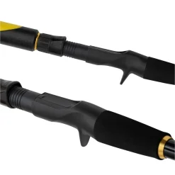 Black Cat Perfect Passion Allstar Cast 2,20m 30-130g Wels-Castingrute
