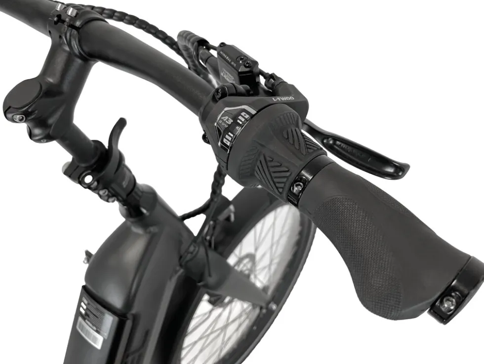 Blaupunkt FRIDEL 24 Zoll Falt E-Bike