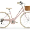 Citybike Neptune Lady 28 Zoll, nude