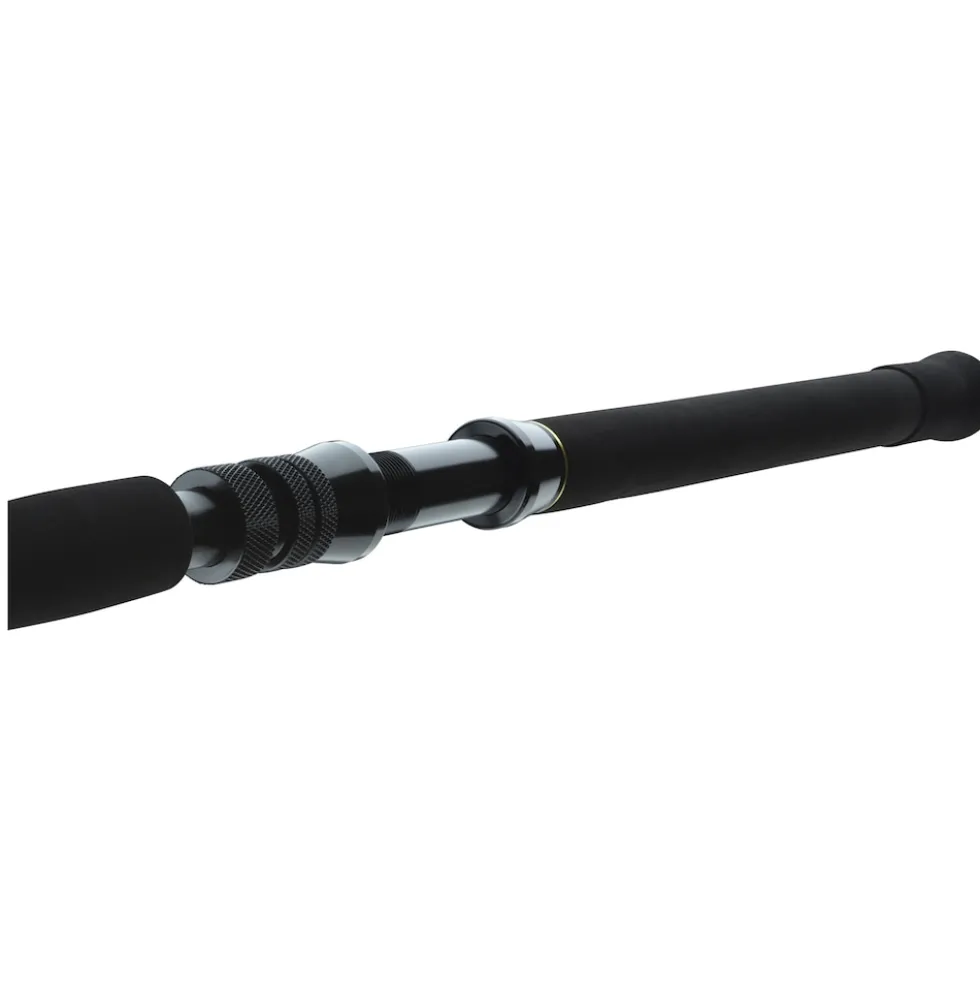 Daiwa BG Big Game 1.68m 20-30lbs Bootsrute