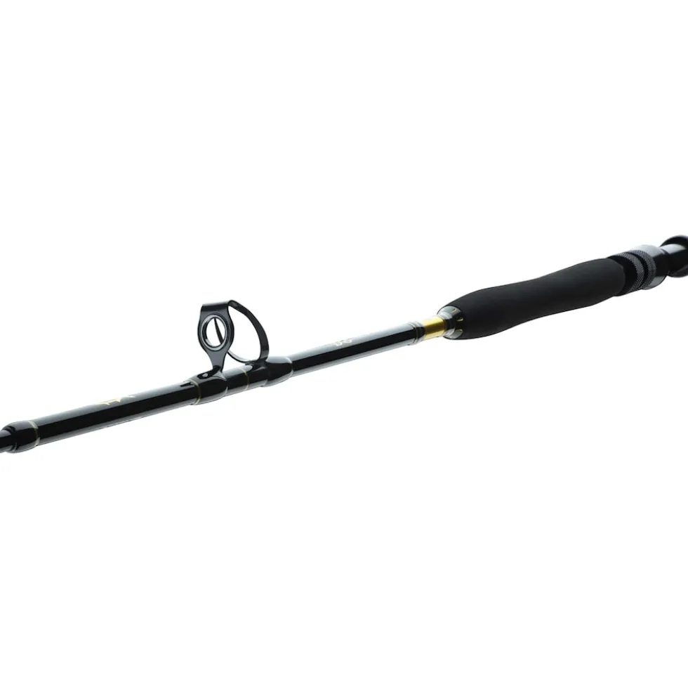 Daiwa BG Big Game 1.68m 20-30lbs Bootsrute