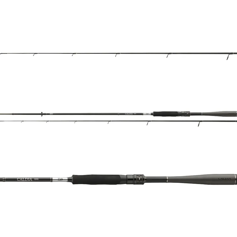 Daiwa Caldia Sensor Spin 2,10m 0,5-6g Spinnrute