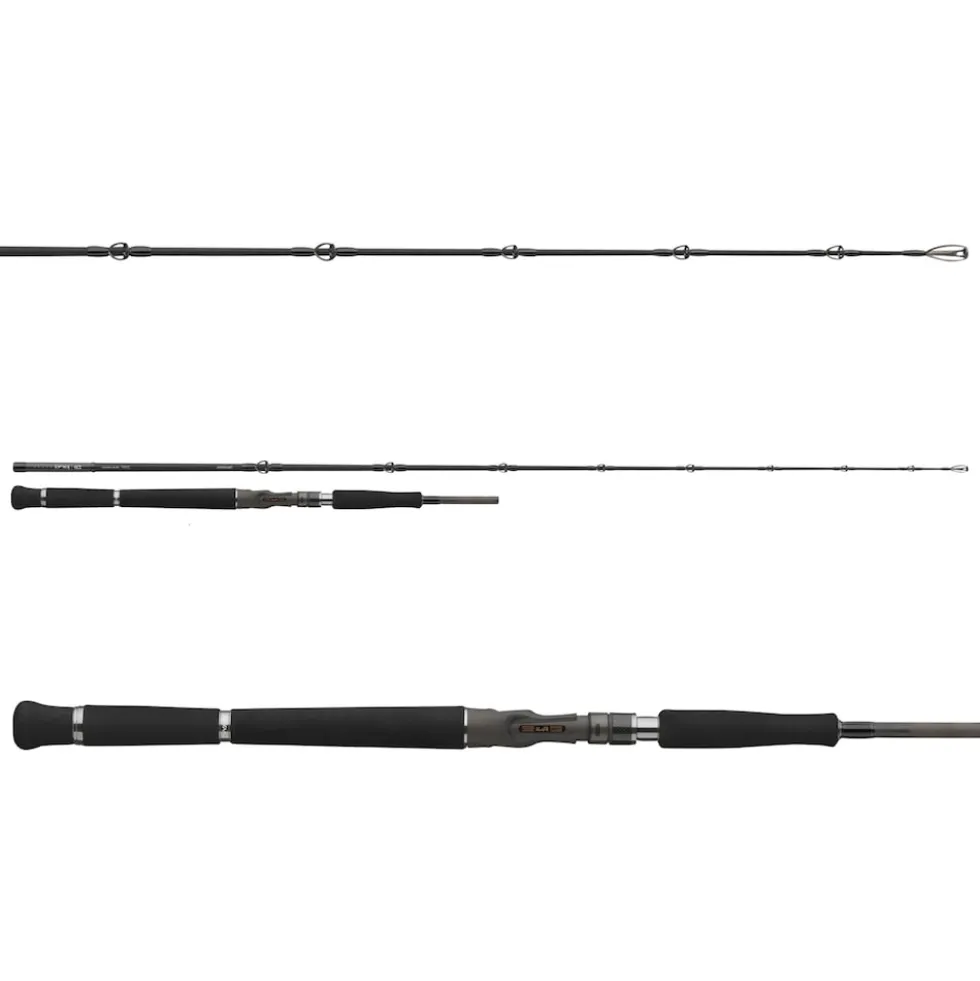 Daiwa DW Pro Staff CF Vertical 1.90m 180g Vertikal-Welsrute