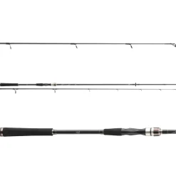 Daiwa Exceler Spin 3.00m 15-50g Spinnrute