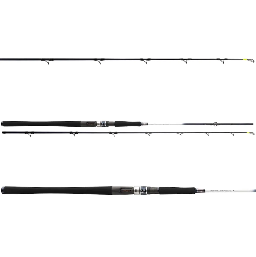 Daiwa Grandwave BC 2.25m 30-40lbs Heilbutt-Meeresrute