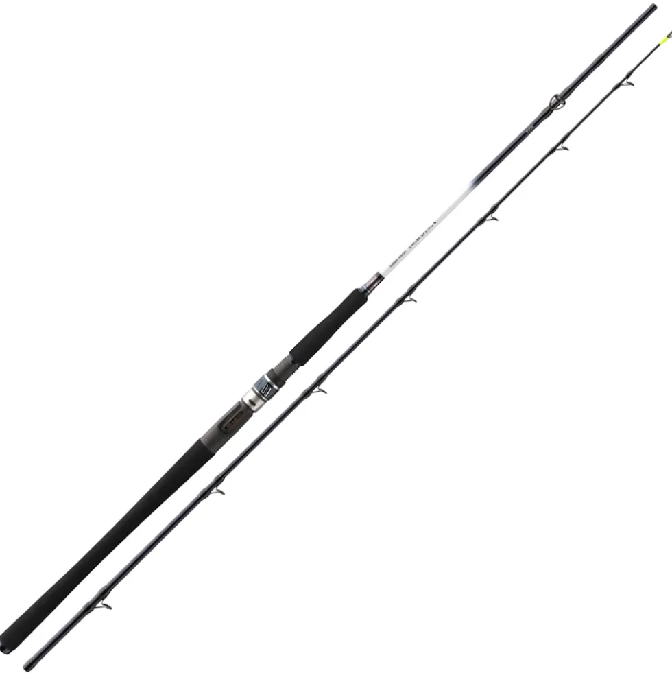 Daiwa Grandwave BC 2.25m 30-40lbs Heilbutt-Meeresrute