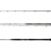 Daiwa Powermesh CF Boje 3,00m 150-400g Welsrute