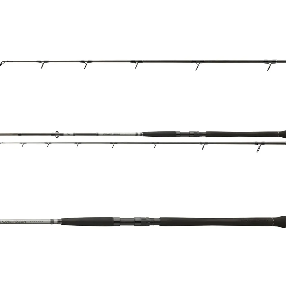 Daiwa Powermesh CF Boje 3,00m 150-400g Welsrute