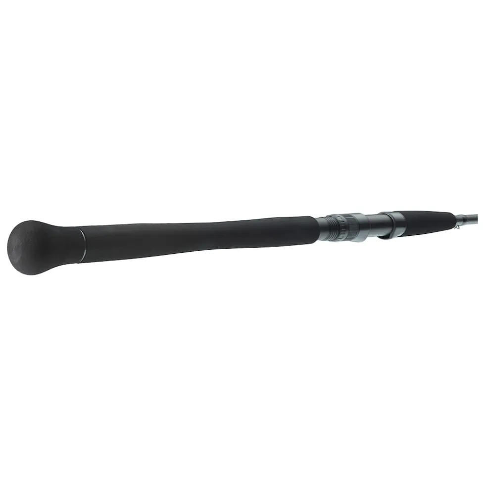 Daiwa Powermesh CF Boje 3,00m 150-400g Welsrute