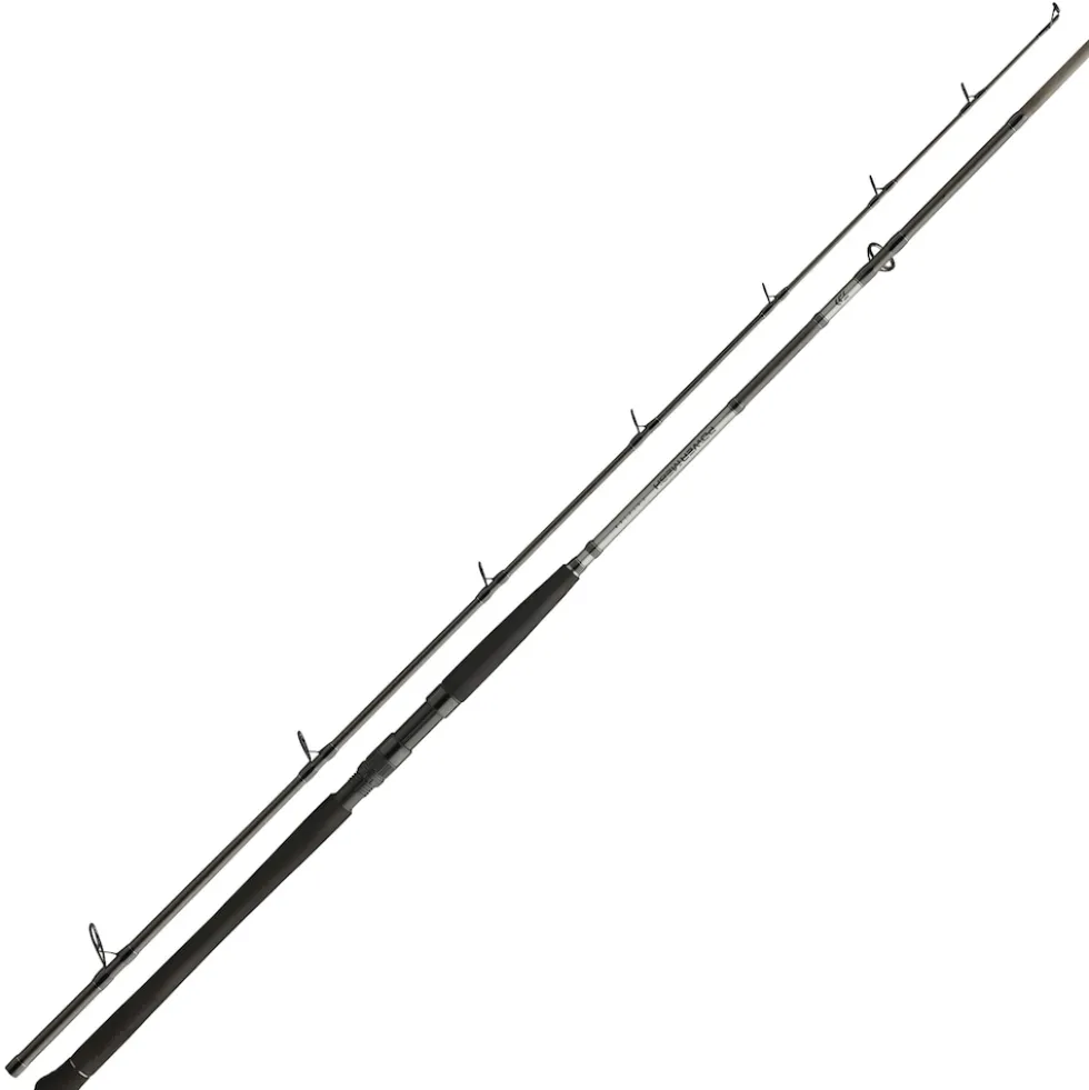 Daiwa Powermesh CF Boje 3,00m 150-400g Welsrute