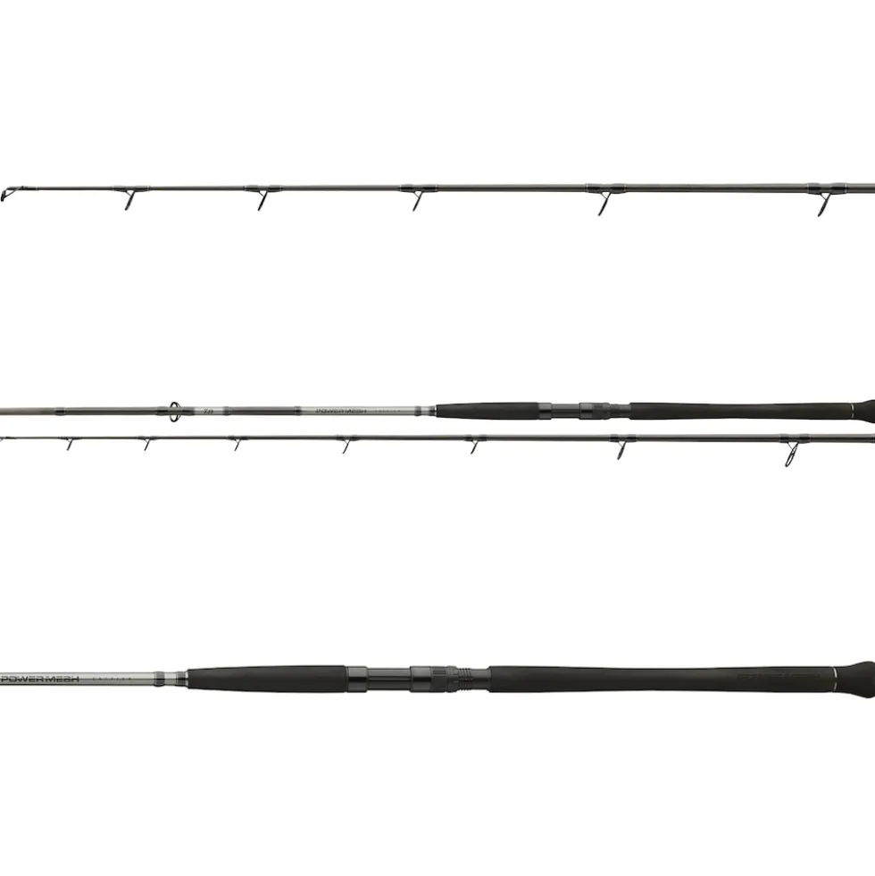 Daiwa Powermesh CF Boje 3,00m 150-400g Welsrute