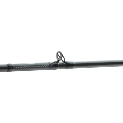 Daiwa Prorex AGS BC 2.15m 9-32g Baitcast-Rute