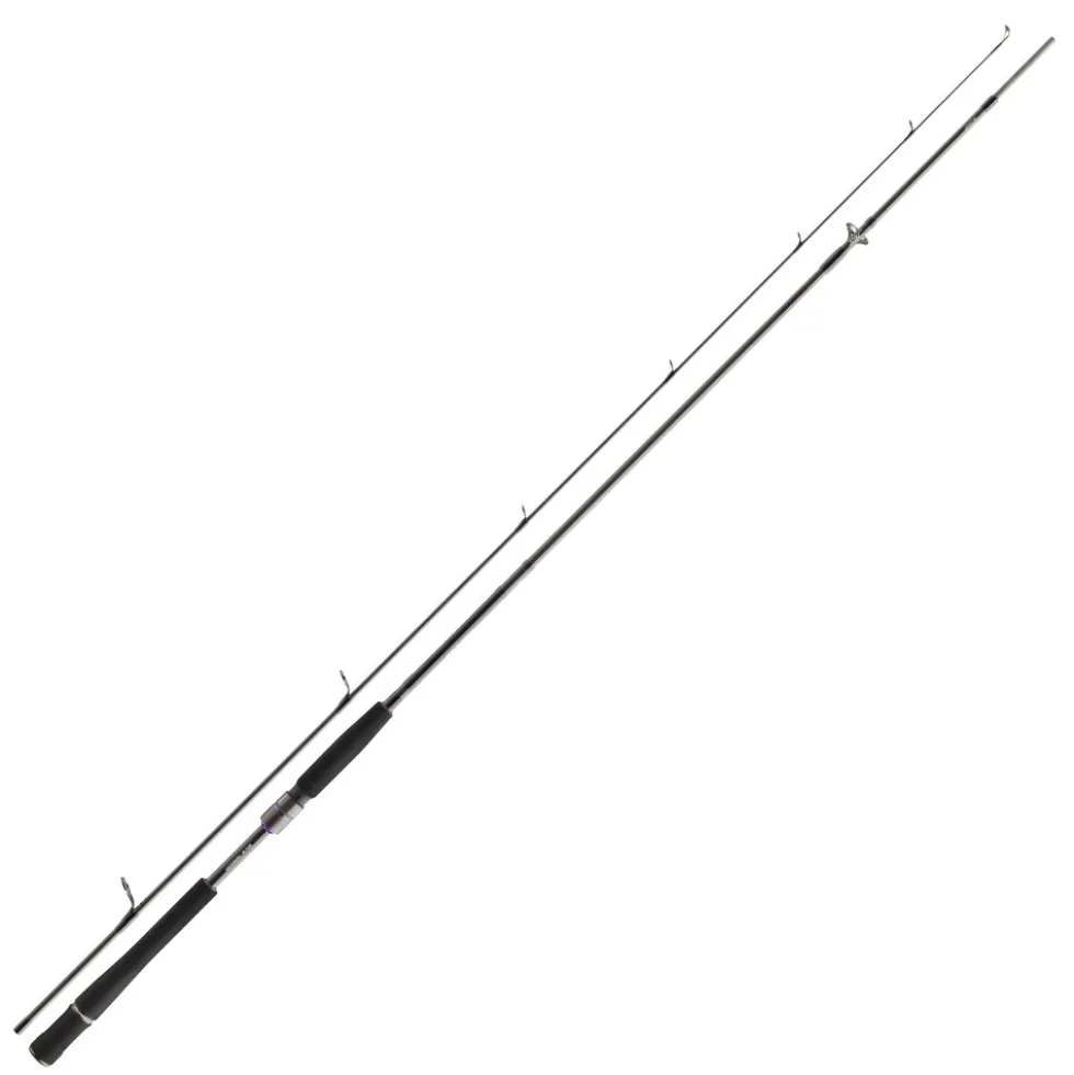 Daiwa Prorex AGS Spin 2,40m 30-70g Spinnrute