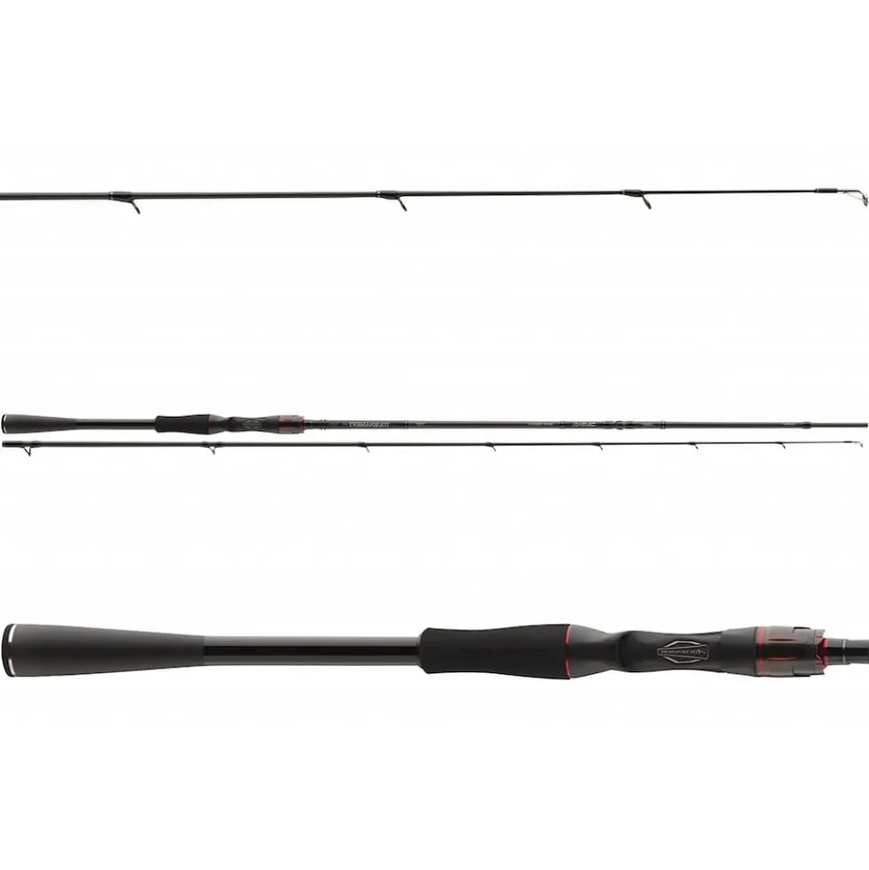 Daiwa Tournament AGS BC 2.10m 14-42g Baitcastrute