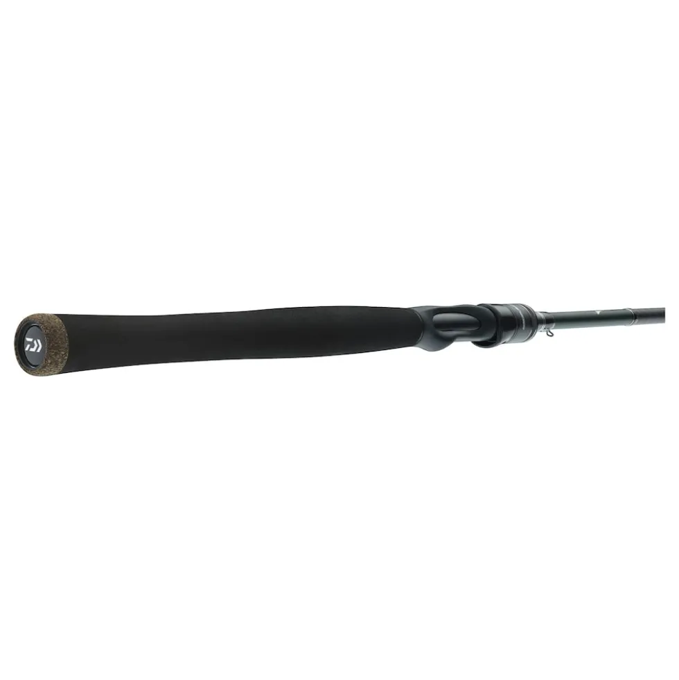 Daiwa Wilderness Travel 2,05m 2-10g Solid Reise-Spinnrute