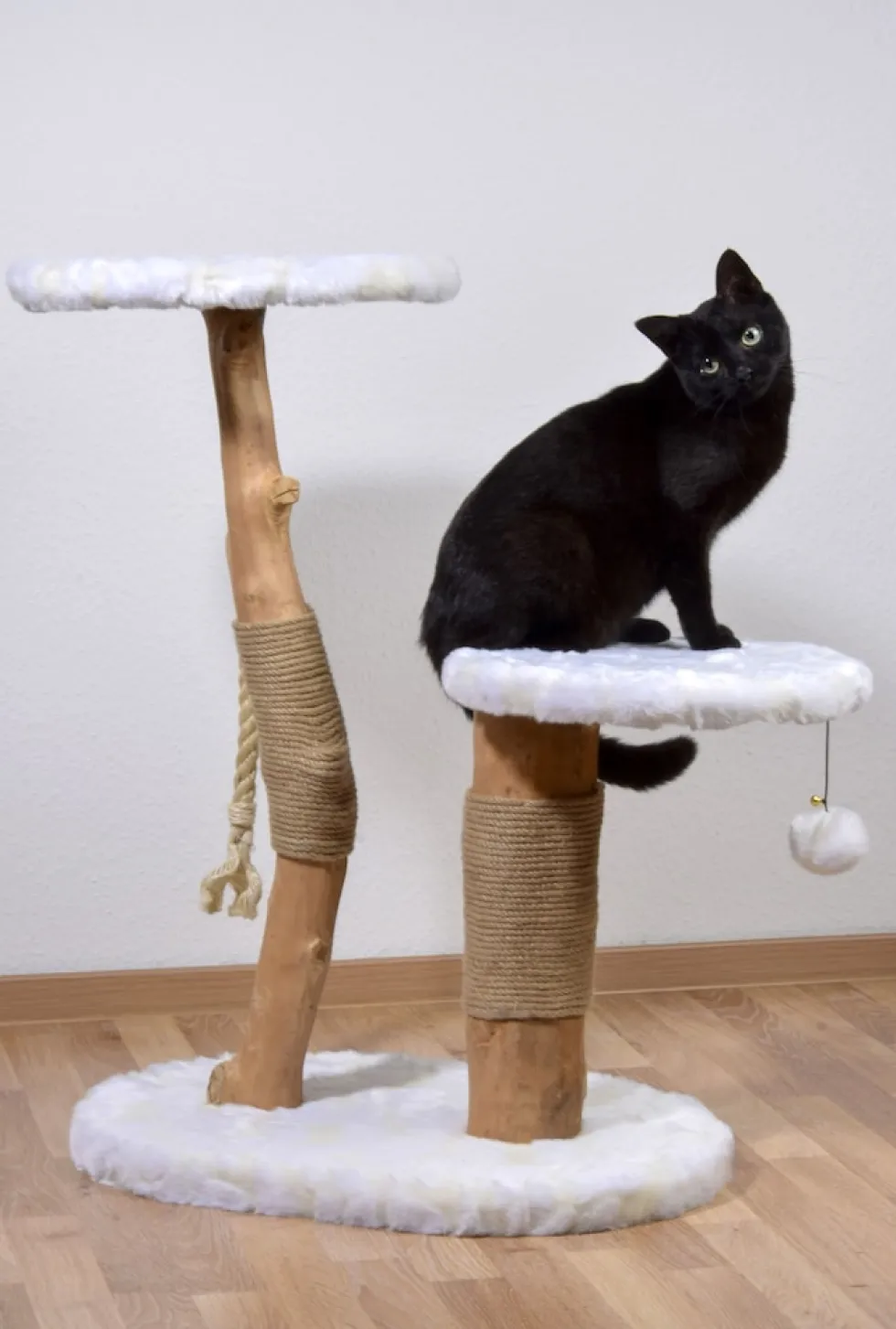 Design-Katzenmöbel "Holly"