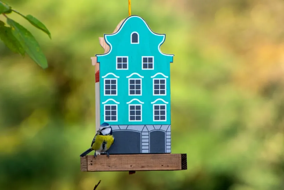 dobar Buntes Deko-Vogelhaus "Münster"