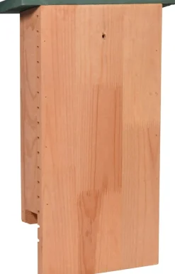 Dobar Chioptera Fledermauskasten