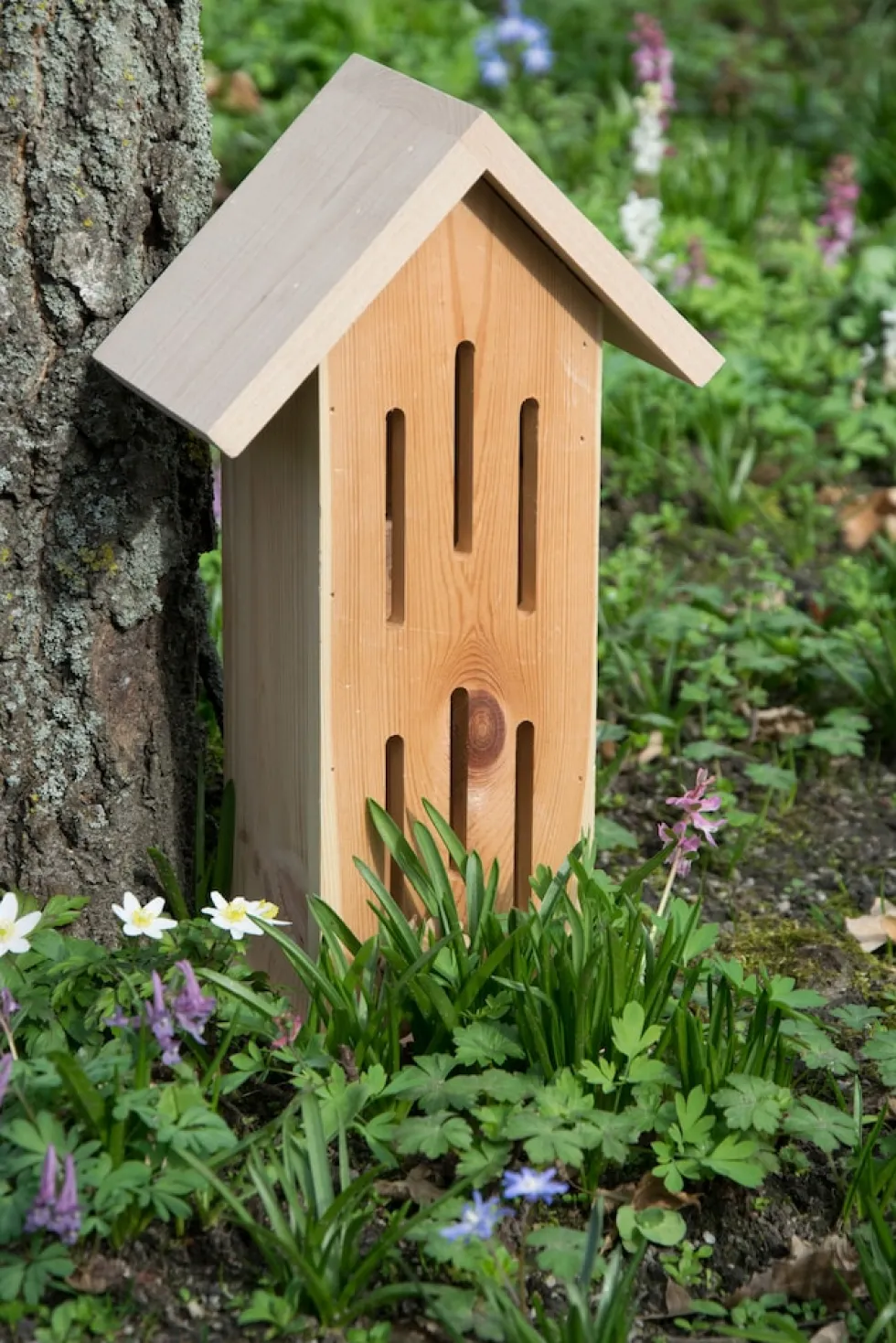 dobar Design-Schmetterlingshaus "Sonnenfalter Natur"