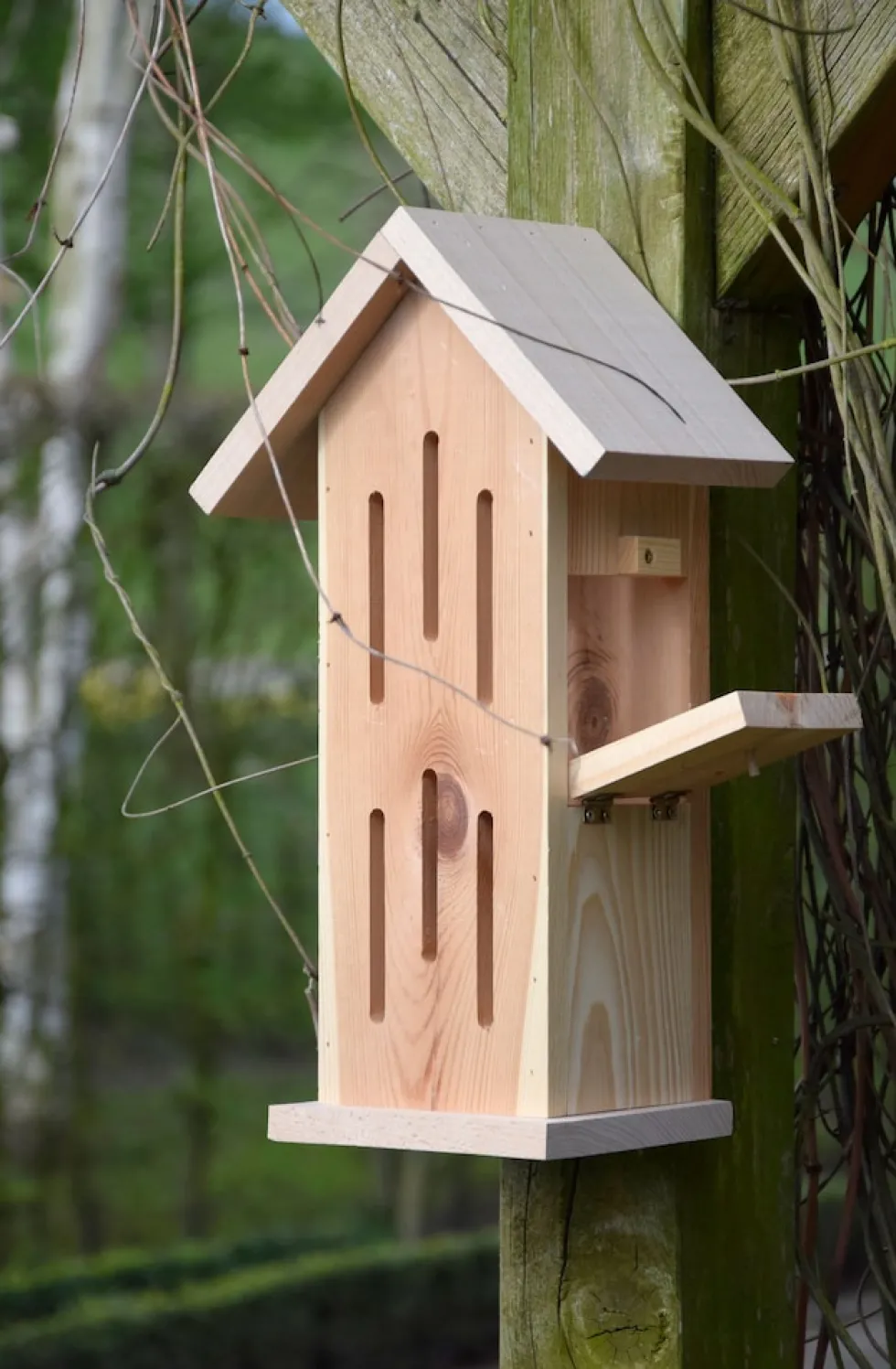 dobar Design-Schmetterlingshaus "Sonnenfalter Natur"