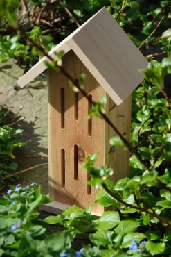 dobar Design-Schmetterlingshaus