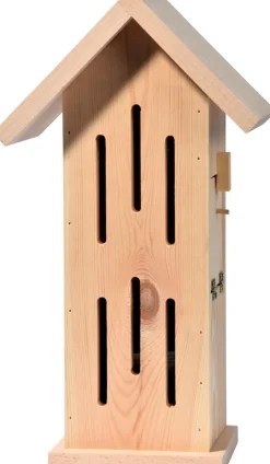 dobar Design-Schmetterlingshaus
