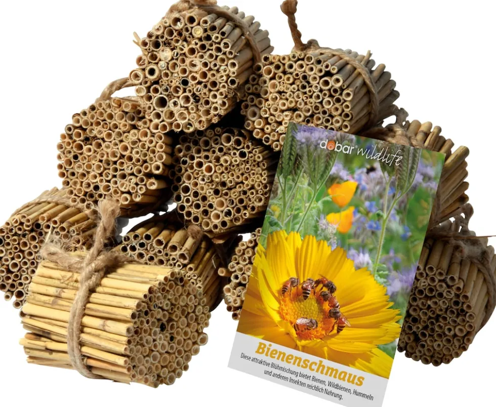 dobar green label Schilfrohrhalme-Set plus Samenmischung "Bienenschmaus"
