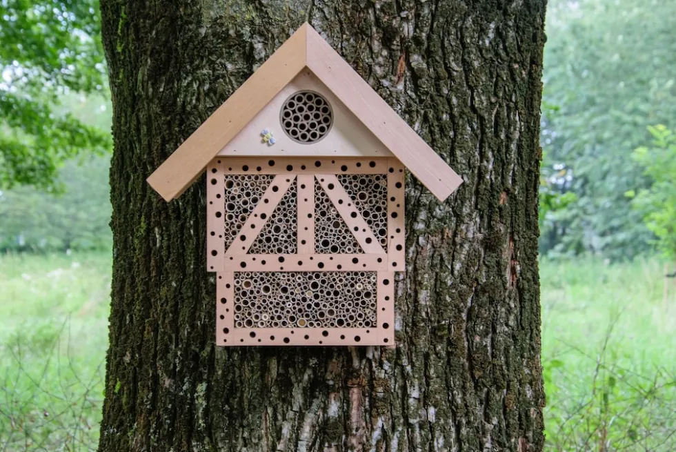 dobar Großes Insektenhotel Monschau
