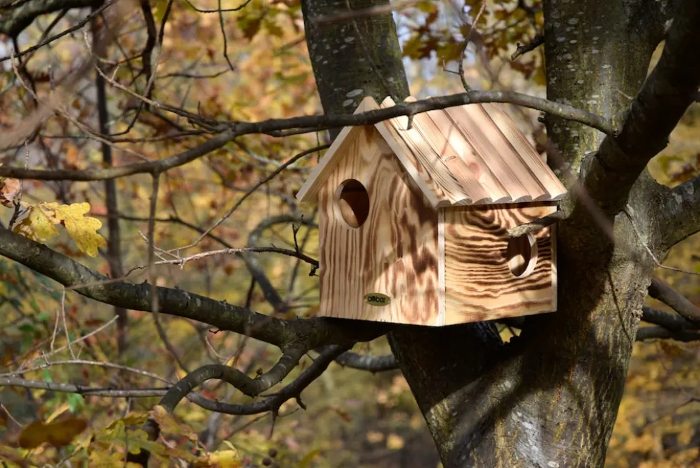 Eichhörnchenkobel mit 3 Eingängen, Unterschlupf für Eichhörnchen