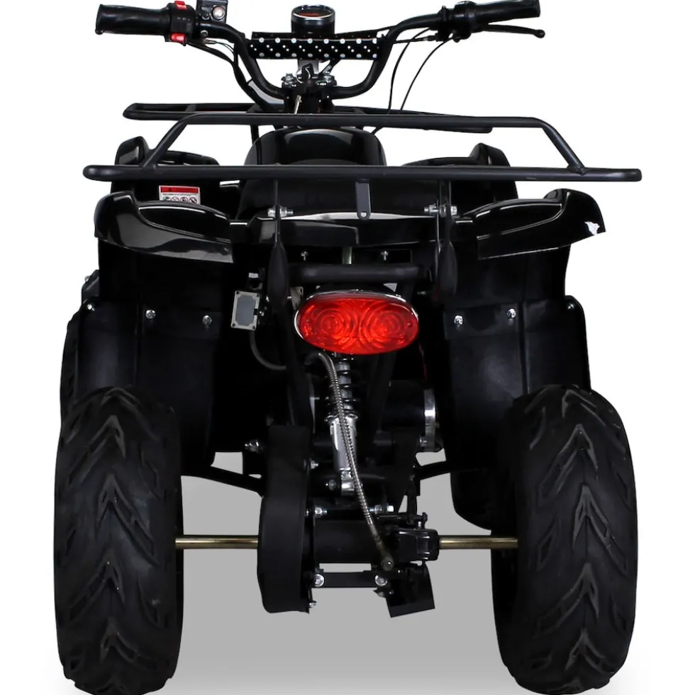 Elektro-Kinderquad S-8 Farmer, Midi-Quad mit 1000 Watt, Scheiben-/Trommelbremsen, bis 20 km/h, ab 8 (Schwarz)
