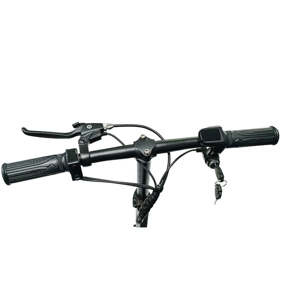 ENEWAY Muvy 4-Rad EMobil 6 km/h Elektromobil mit Lithium-Akku