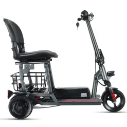 ENEWAY Muvy 3-Rad EMobil 6 km/h Elektromobil mit Lithium-Akku