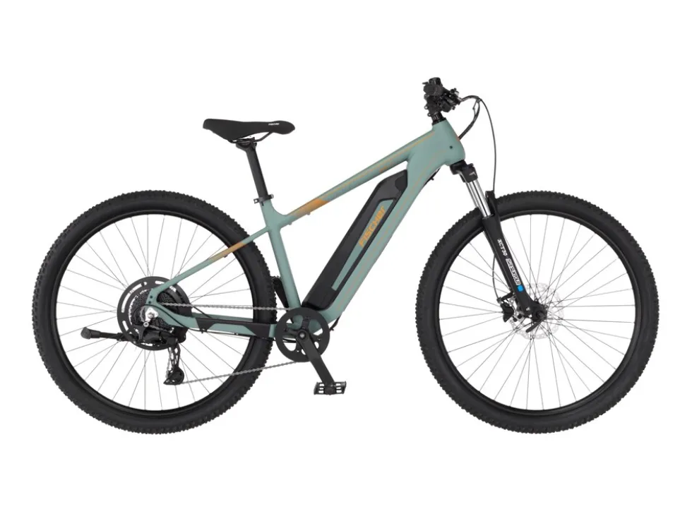 FISCHER Montis 2.2 ACTIVE - RH 43 cm, 29 Zoll, 688 Wh