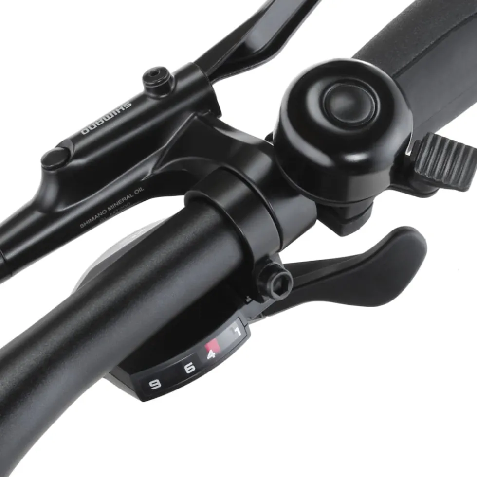 FISCHER Terra 6.8I Ultimate - RH 43 cm, 28 Zoll, 711 Wh