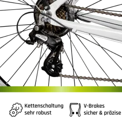 Galano Berlin 700c Tandem Fahrrad Cityrad Trekkingrad 28 Zoll Touring Bike 21 Gänge