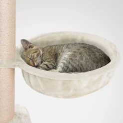 HAPPYPET Katzenhängematte für Kratzbaum Ø40 cm – XL Katzenmulde Ersatzteil – Stabile Liegemulde mit Metallrahmen – Katzenbett Kratzbaum – belastbar bis 15 kg, Creme | Creme