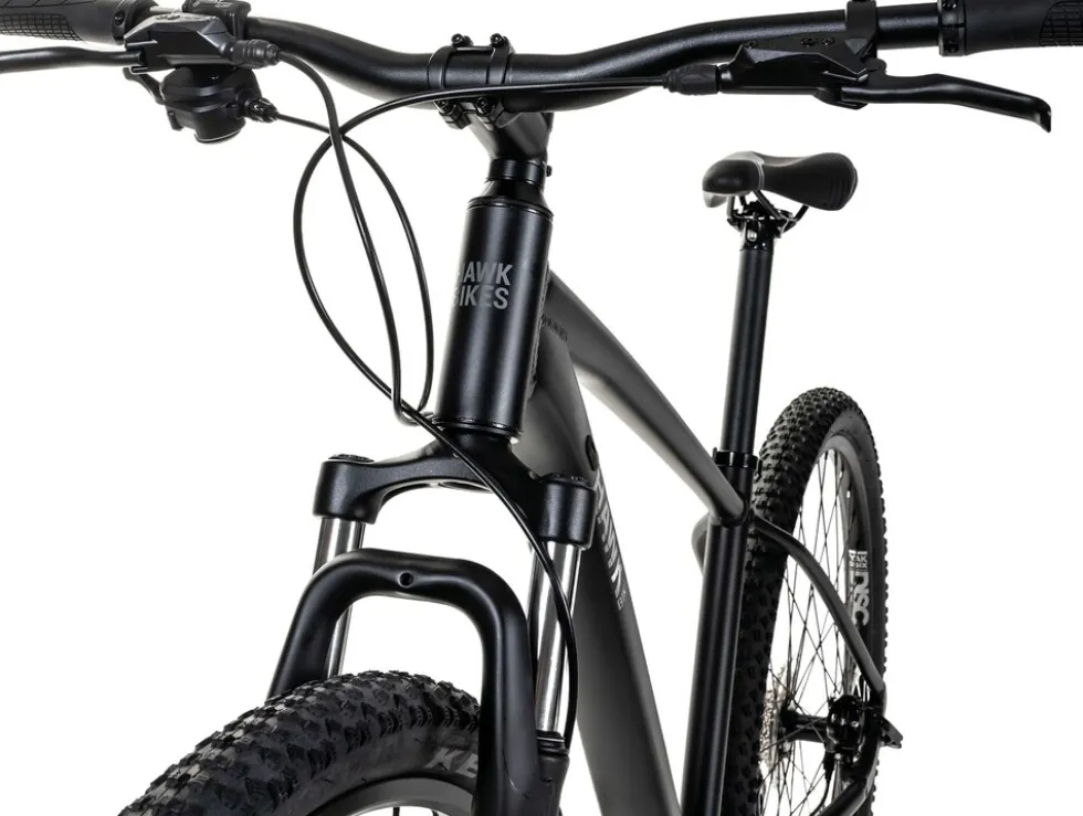 Hawk Trail One MTB Herren 29 Zoll 43 cm Diamant - Anthrazit