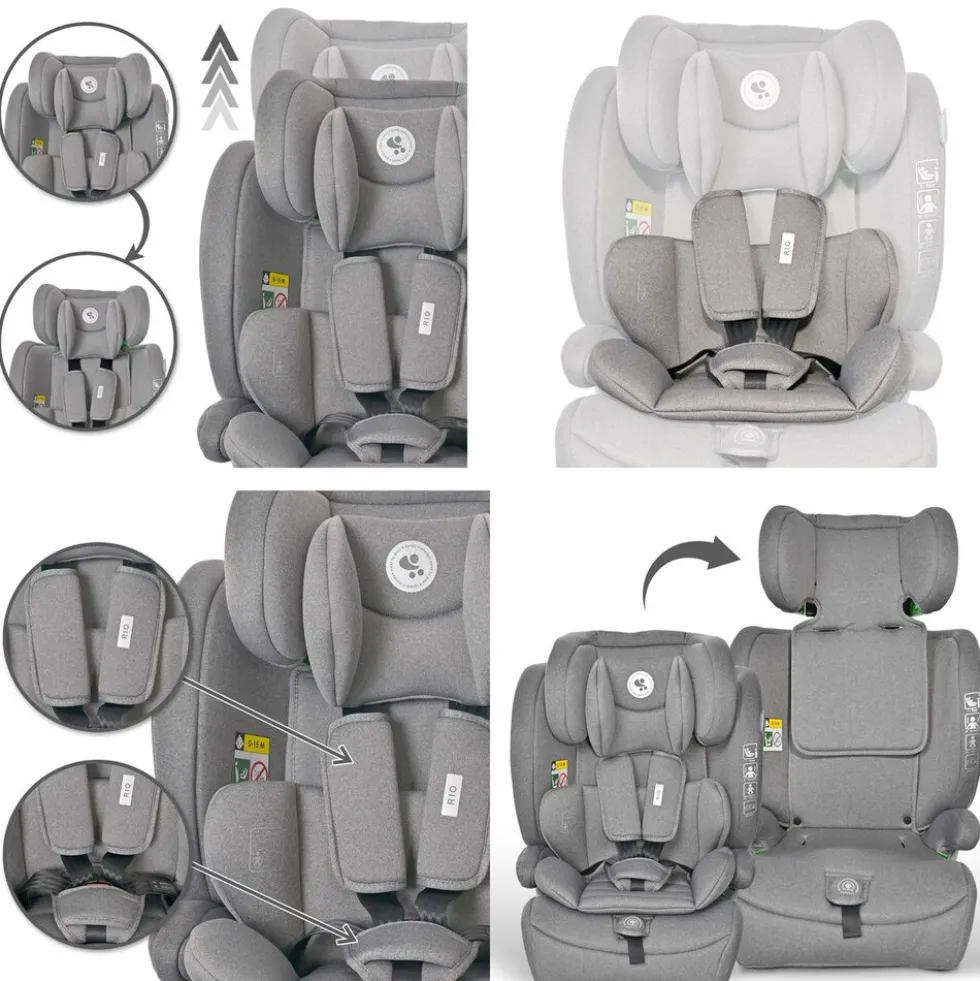 Lorelli Kindersitz Rio i-Size (76 - 150 cm) Isofix Top Tether Kissen verstellbar hellgrau