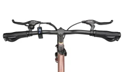 Maxtron Smart30, Falt-E-Bike, Riemenantrieb, 20