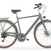 MBM Elektro-Citybike LA RUE 2.0 MAN, grau